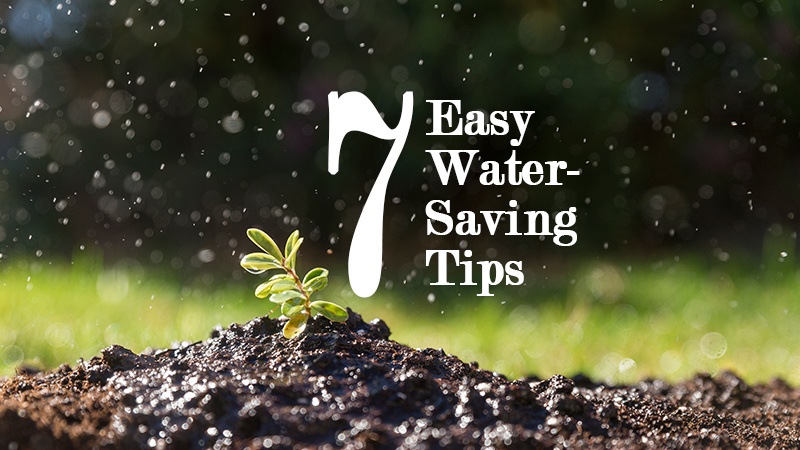 7 easy water saving tips