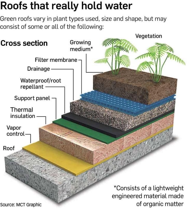 what-are-the-layers-of-a-green-roof