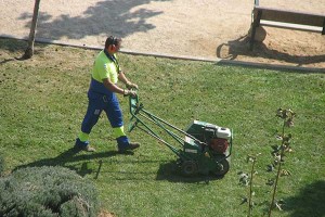 Fall Landscaping Care 6 Steps to Take Right Now- areating a lawn