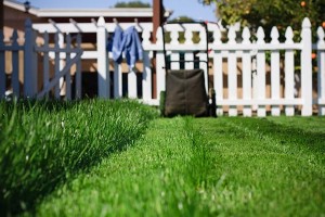 Fall Landscaping Care 6 Steps to Take Right Now-mowing a lawn