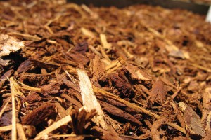 benefits of using mulch in your garden 2