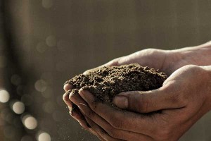 soil-in-hand