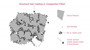 structure-zone-1-300x169