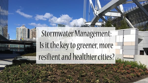 Stormwater Management - key to greener, more resilient and healthier cities