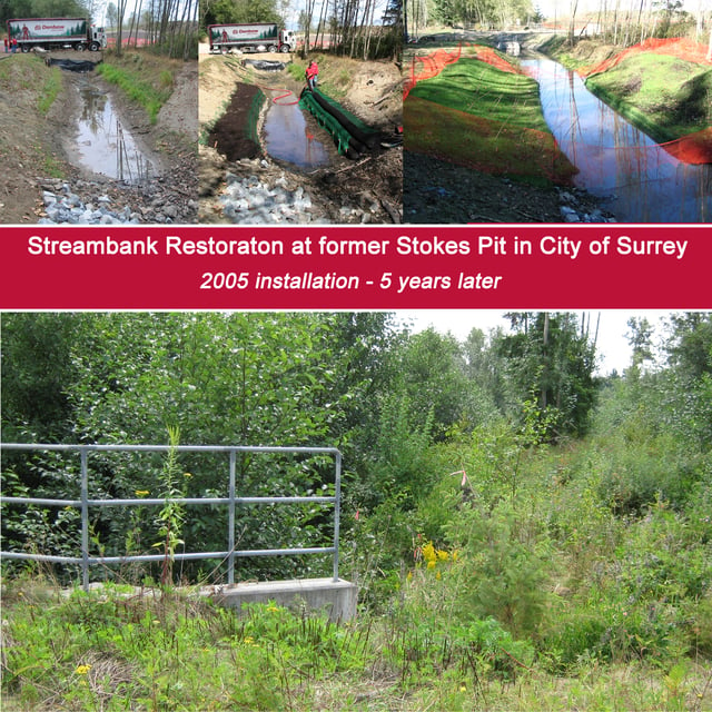 Streambank Restoration - Stokes Pit Surrey, BC 5 years