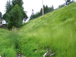 Erosion Control on Steep Slopes and Embankments - Denbow
