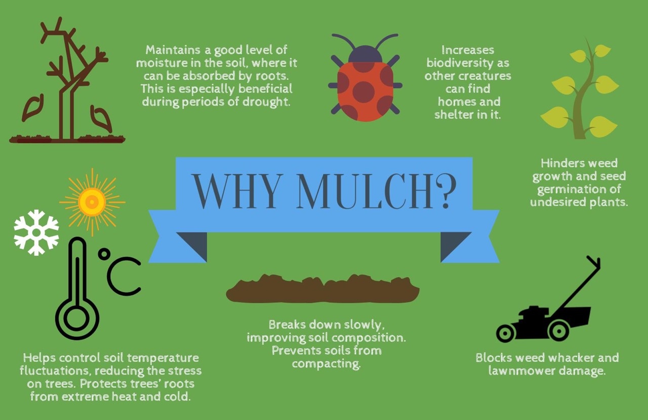 Why Mulch infographic