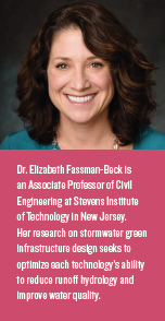 elizabeth fassman-beck