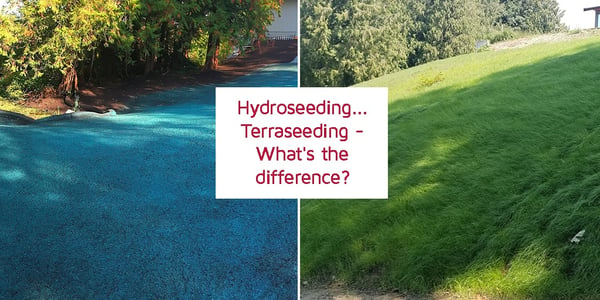 hydroseeding terraseeding whats the difference