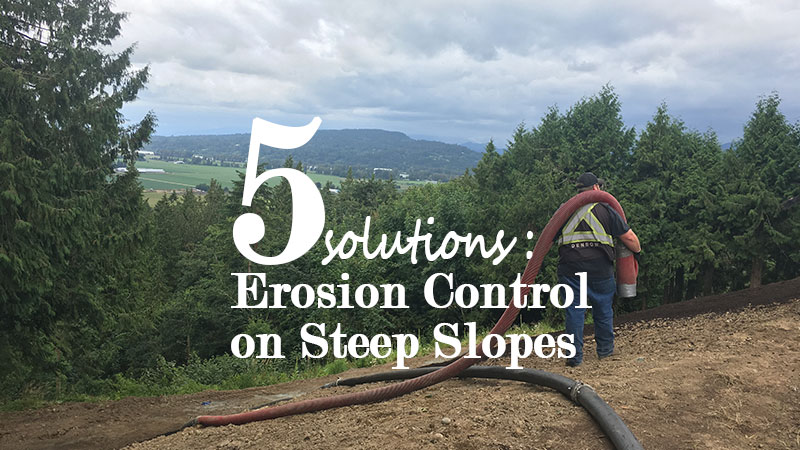 5 Steps for Erosion Control on Steep Slopes and Embankments