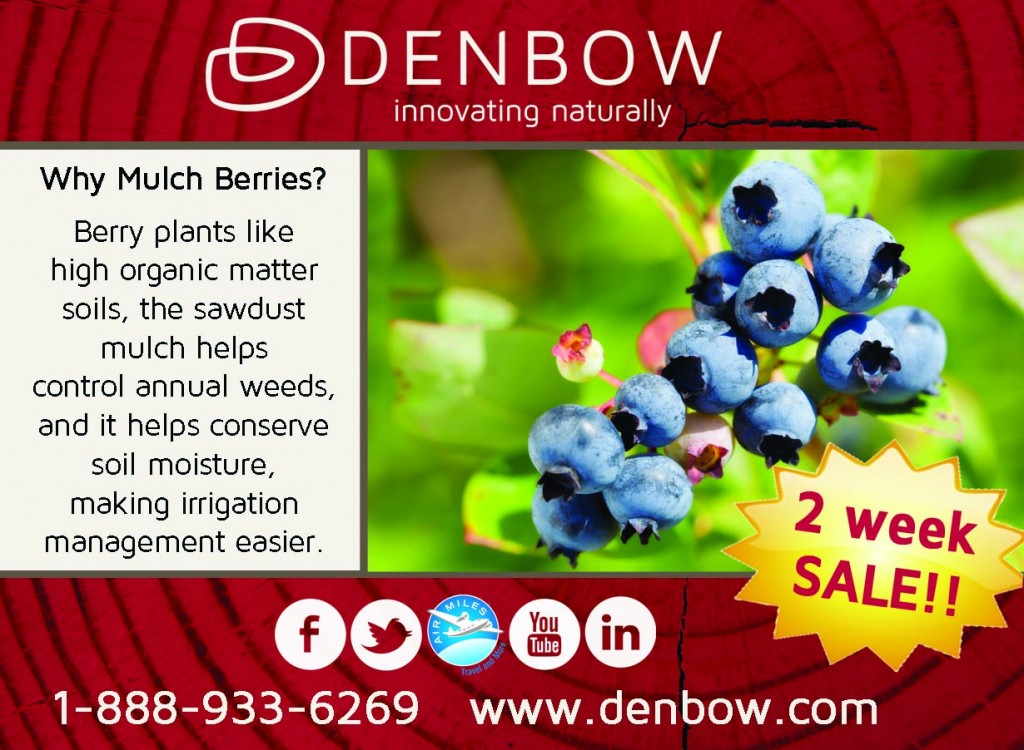 SALE! Sawdust for berry plants