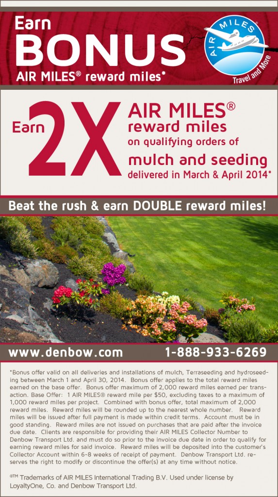 Spring Air Miles® promotion