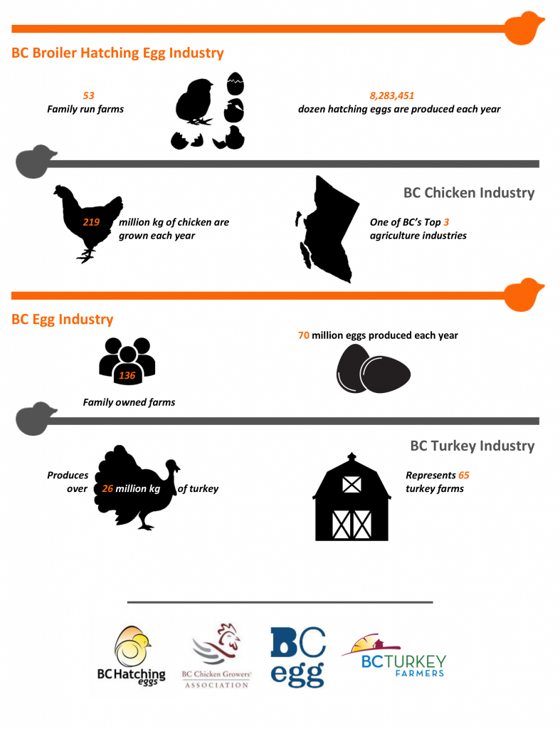BC Poultry Stats