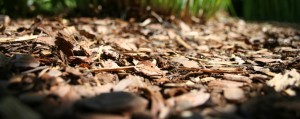 Playground Wood Chips a Better Alternative to Pea Gravel