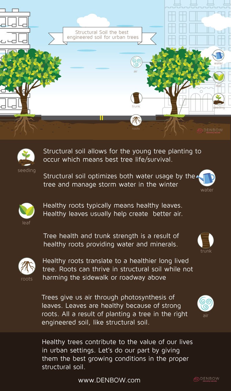 Structural Soil: an infographic