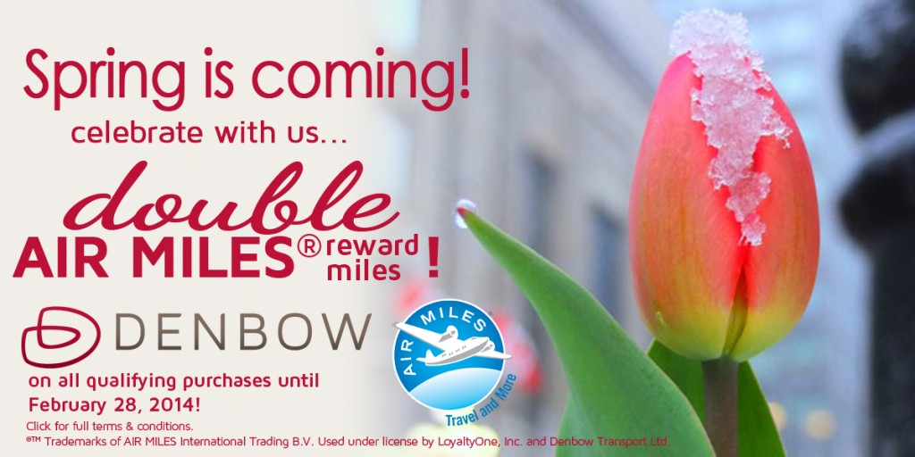 Happy February - Air Miles promotion!