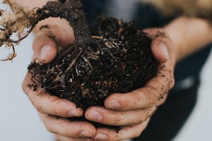 Best Types of Compost for Landscaping - Ask Tom