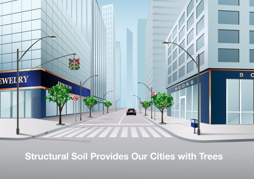 What is Structural Soil and Why is it Good for Trees
