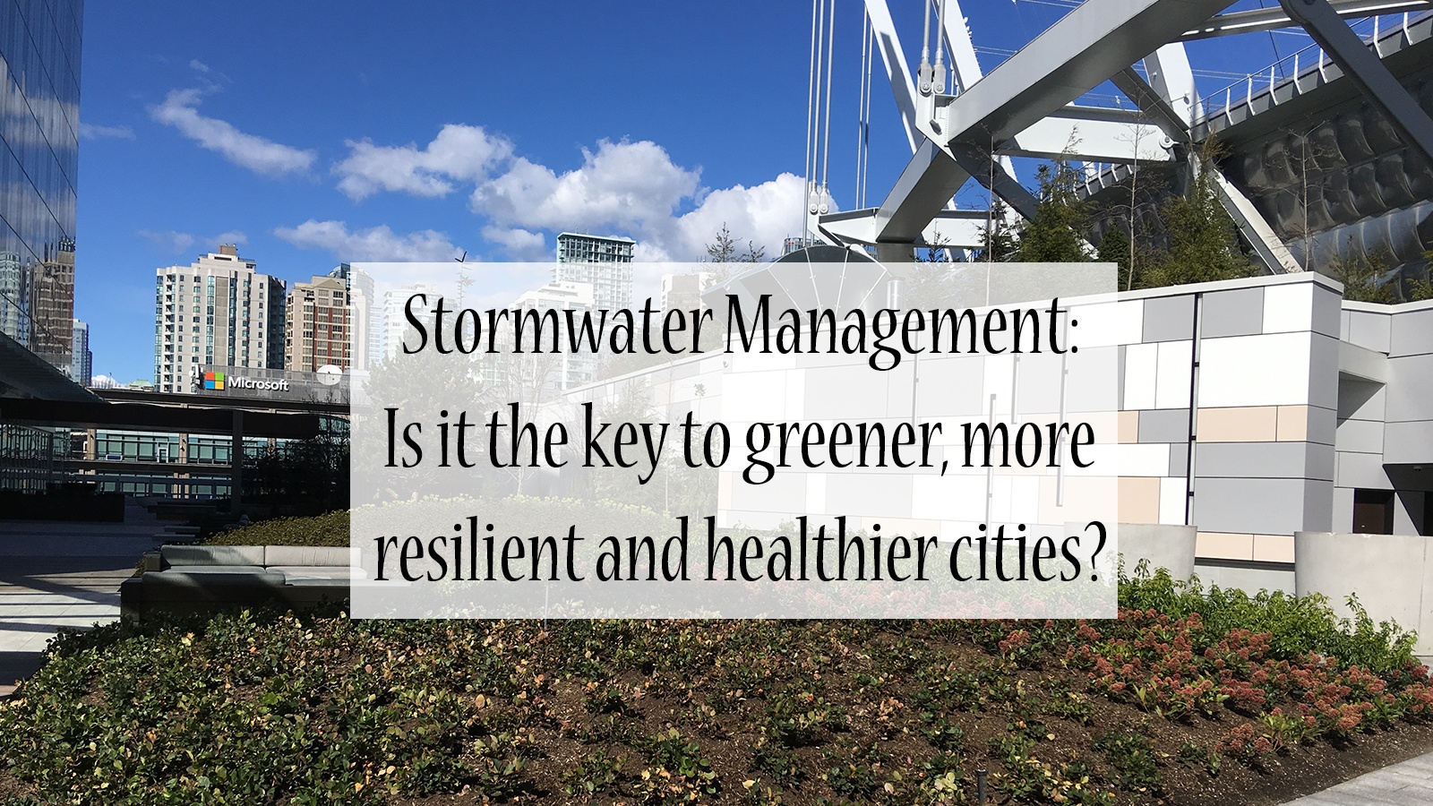 Stormwater Management: Is it the key to greener, more resilient and healthier cities?