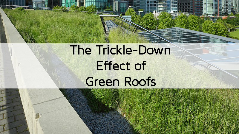 The Trickle-Down Effect of Green Roofs