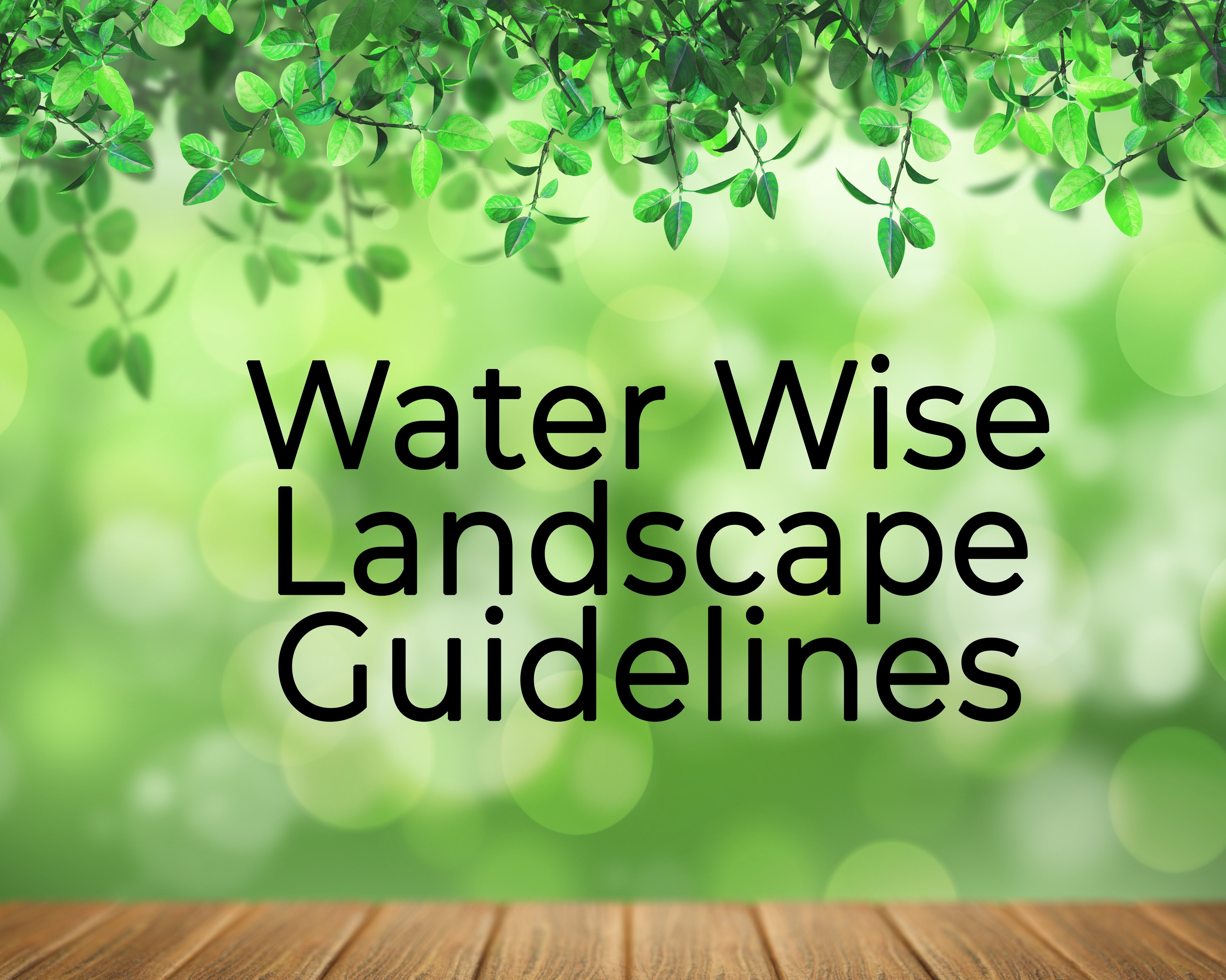 water wise guidelines